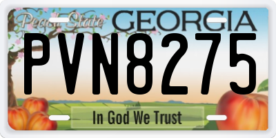 GA license plate PVN8275