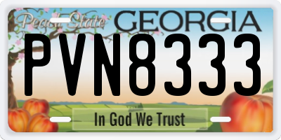 GA license plate PVN8333