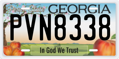 GA license plate PVN8338
