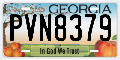 GA license plate PVN8379