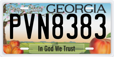GA license plate PVN8383