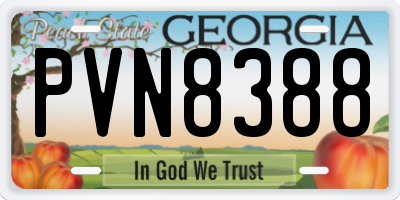 GA license plate PVN8388