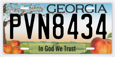 GA license plate PVN8434