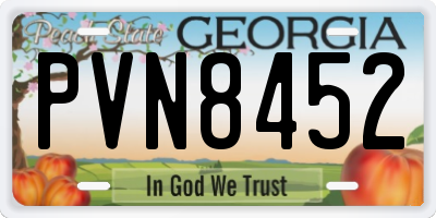 GA license plate PVN8452