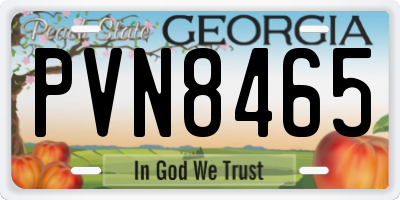 GA license plate PVN8465