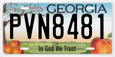 GA license plate PVN8481