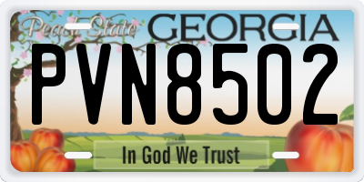 GA license plate PVN8502