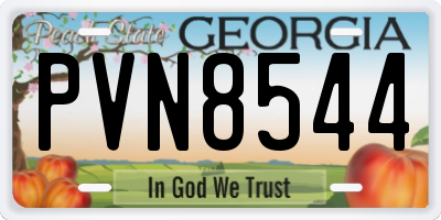 GA license plate PVN8544