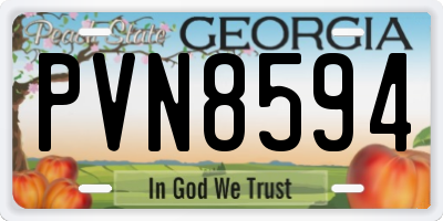 GA license plate PVN8594