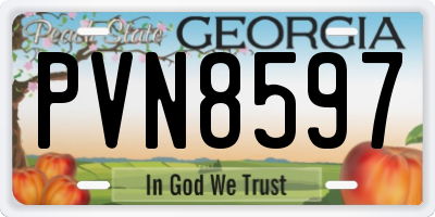GA license plate PVN8597