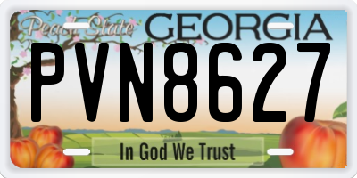 GA license plate PVN8627