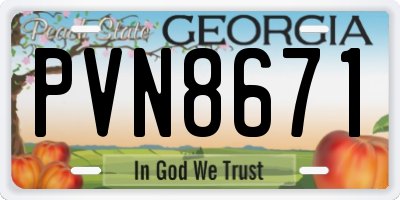 GA license plate PVN8671