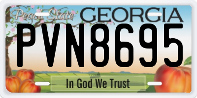 GA license plate PVN8695