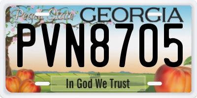 GA license plate PVN8705