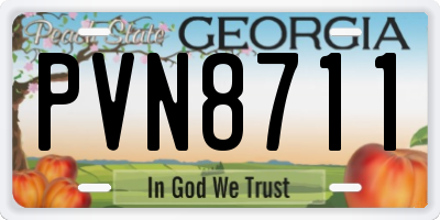 GA license plate PVN8711