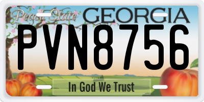 GA license plate PVN8756