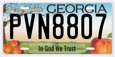 GA license plate PVN8807
