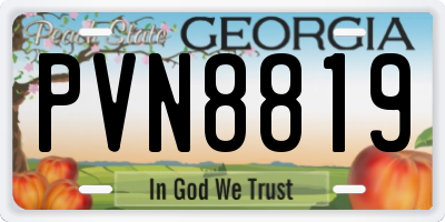 GA license plate PVN8819