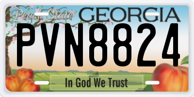 GA license plate PVN8824