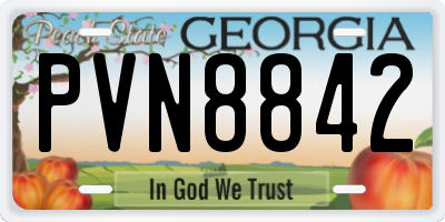 GA license plate PVN8842