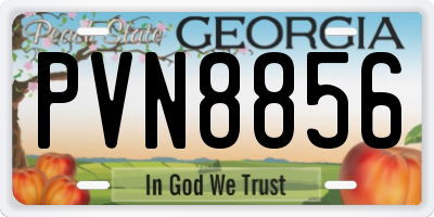 GA license plate PVN8856