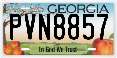 GA license plate PVN8857