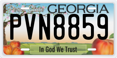 GA license plate PVN8859