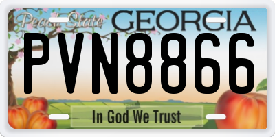 GA license plate PVN8866