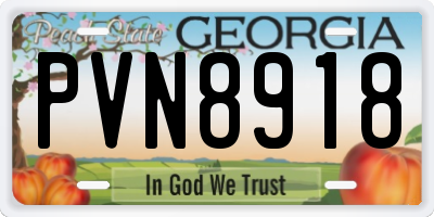 GA license plate PVN8918