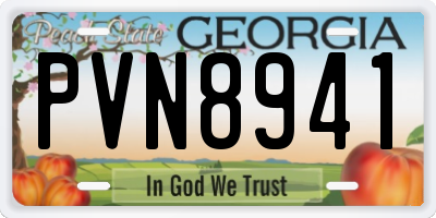 GA license plate PVN8941