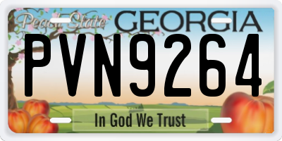 GA license plate PVN9264