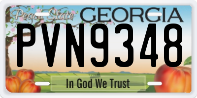 GA license plate PVN9348
