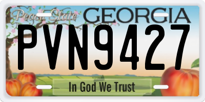 GA license plate PVN9427