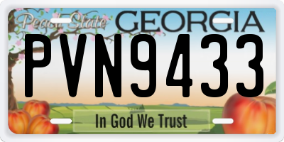 GA license plate PVN9433