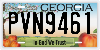 GA license plate PVN9461