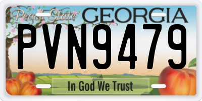 GA license plate PVN9479