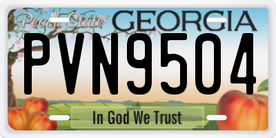 GA license plate PVN9504