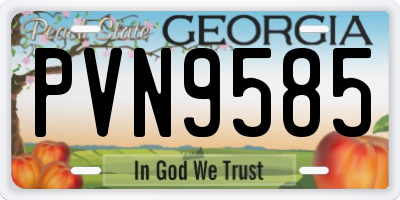 GA license plate PVN9585