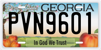 GA license plate PVN9601