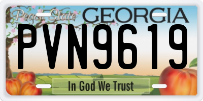 GA license plate PVN9619