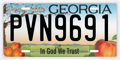 GA license plate PVN9691