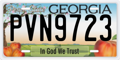 GA license plate PVN9723