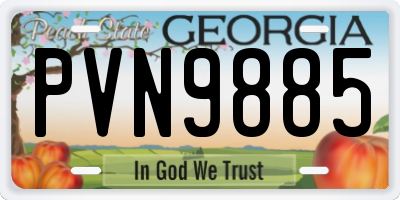 GA license plate PVN9885