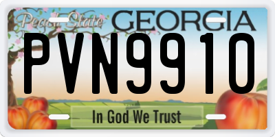 GA license plate PVN9910