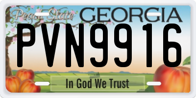 GA license plate PVN9916