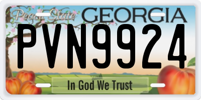 GA license plate PVN9924