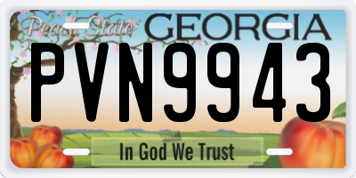 GA license plate PVN9943
