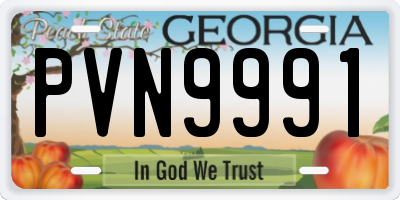 GA license plate PVN9991
