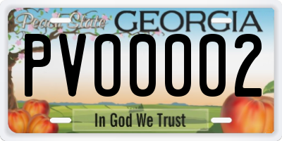 GA license plate PVO0002
