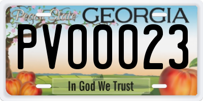 GA license plate PVO0023